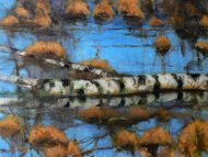 Birken in Wasser, Öl auf Leinwand 2024, 90 x 120 cm
